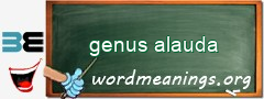 WordMeaning blackboard for genus alauda